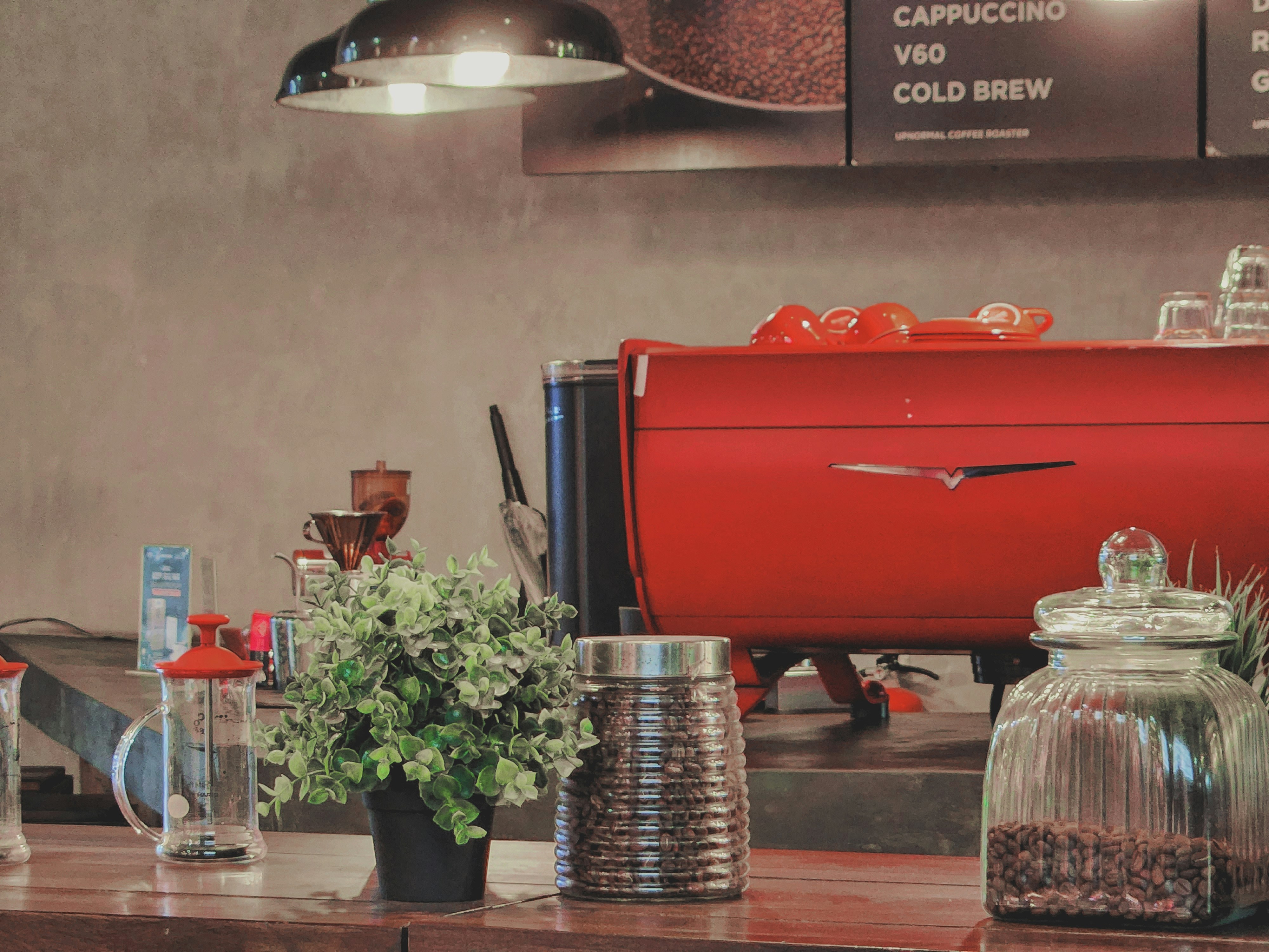 a quiet cafe counter with an espresso machine and plants