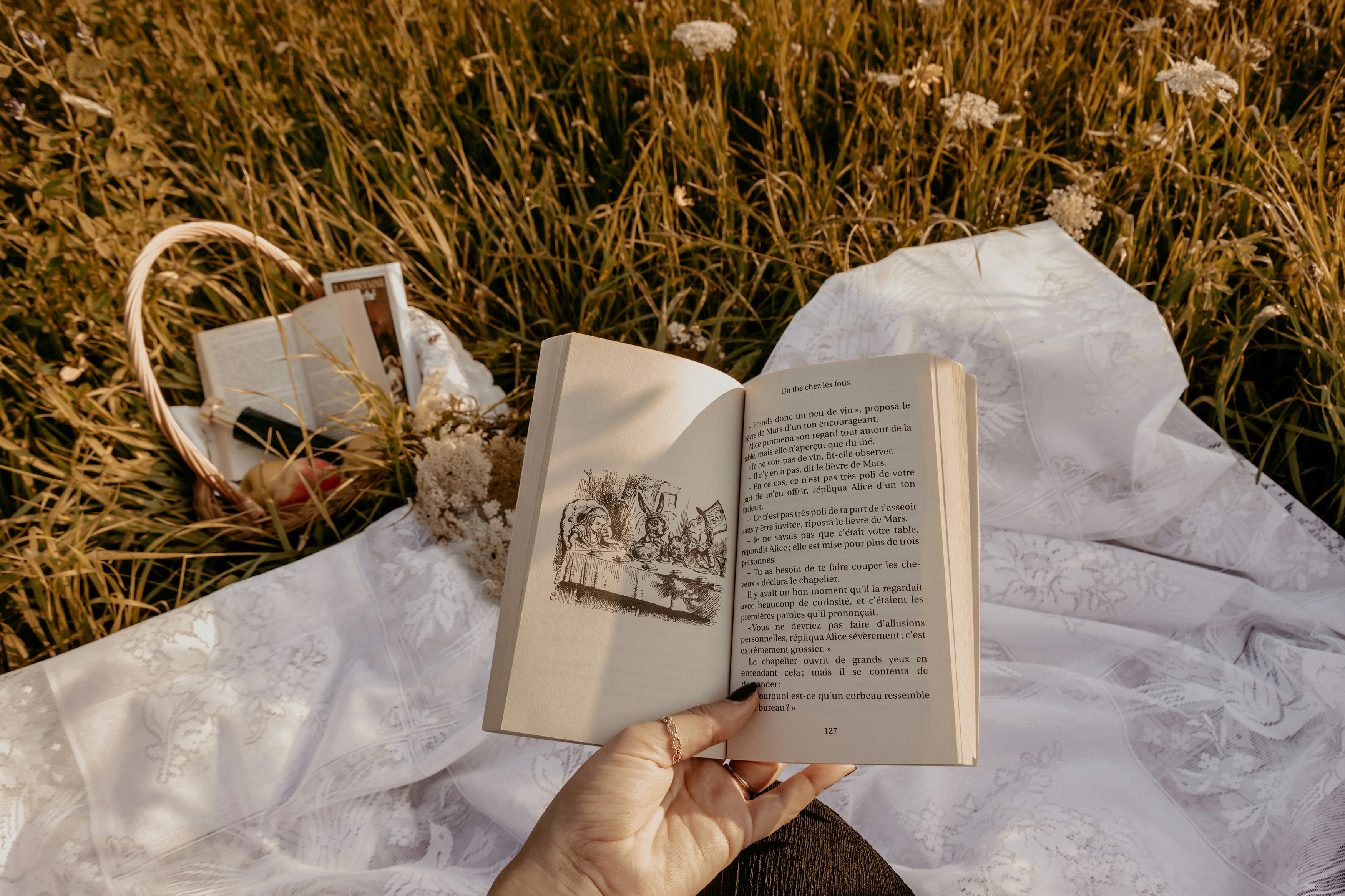 a book left open in the grass