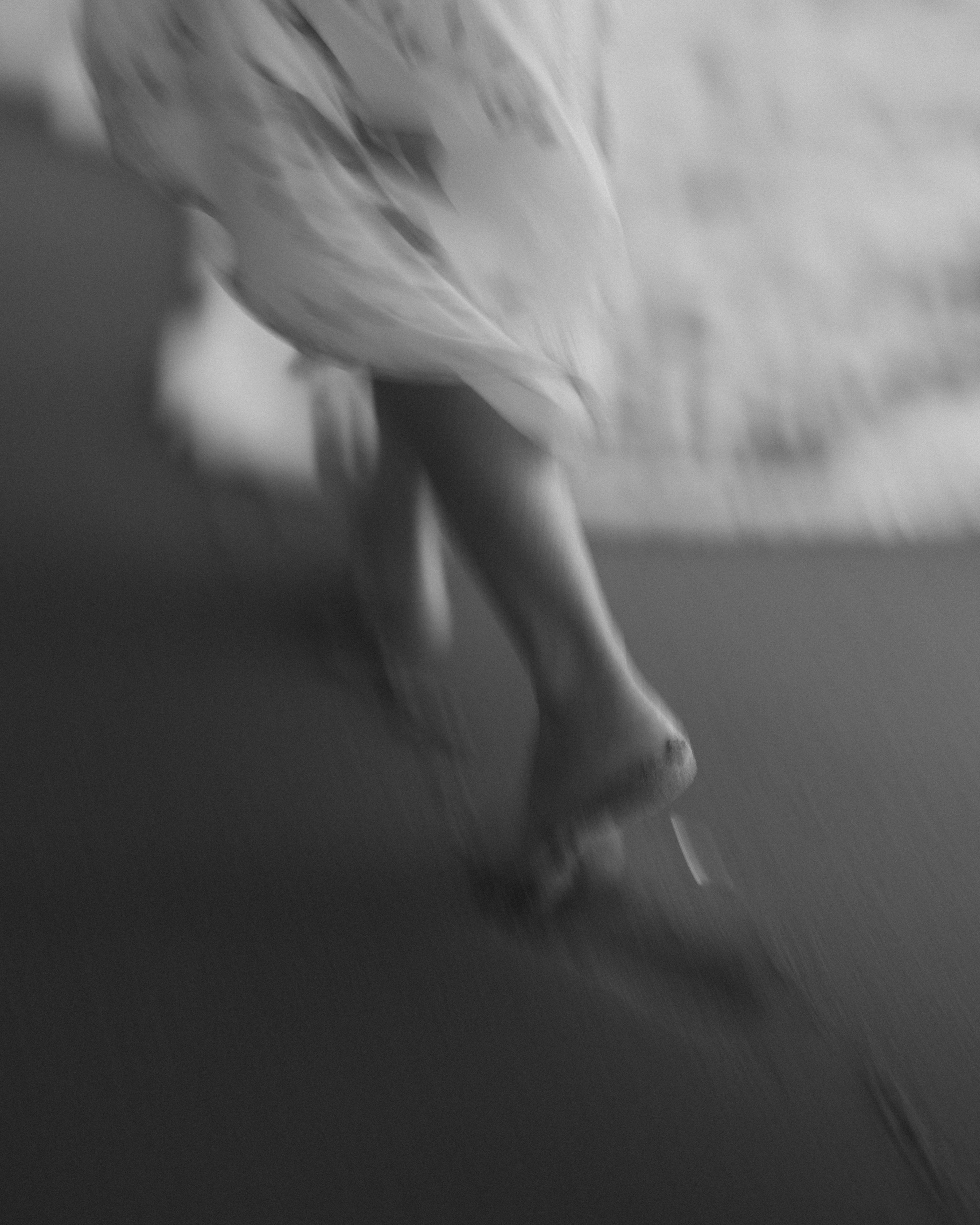 legs blurred mid-stride on a beach