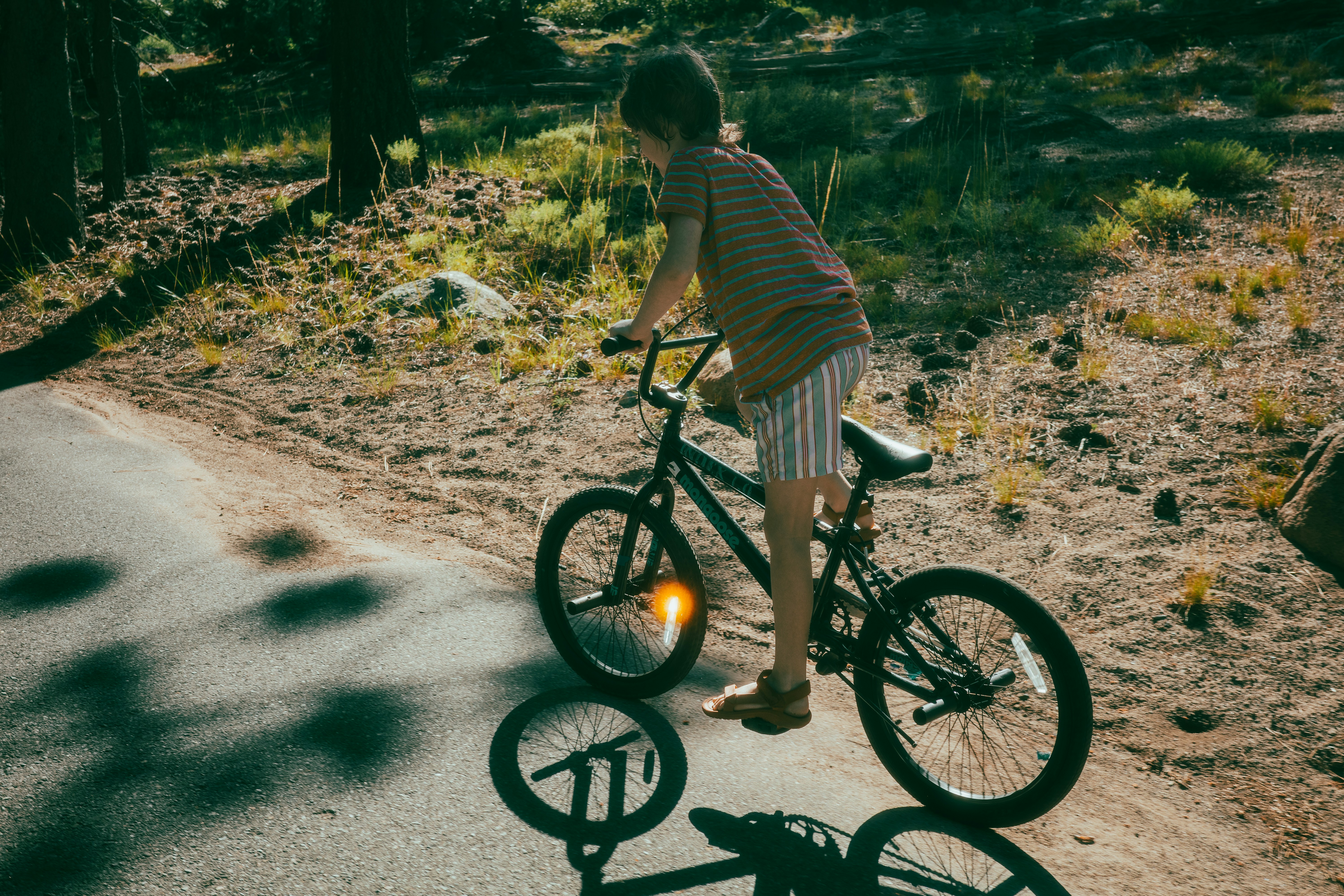 a child pausing on a bike at the edge of a woodland path