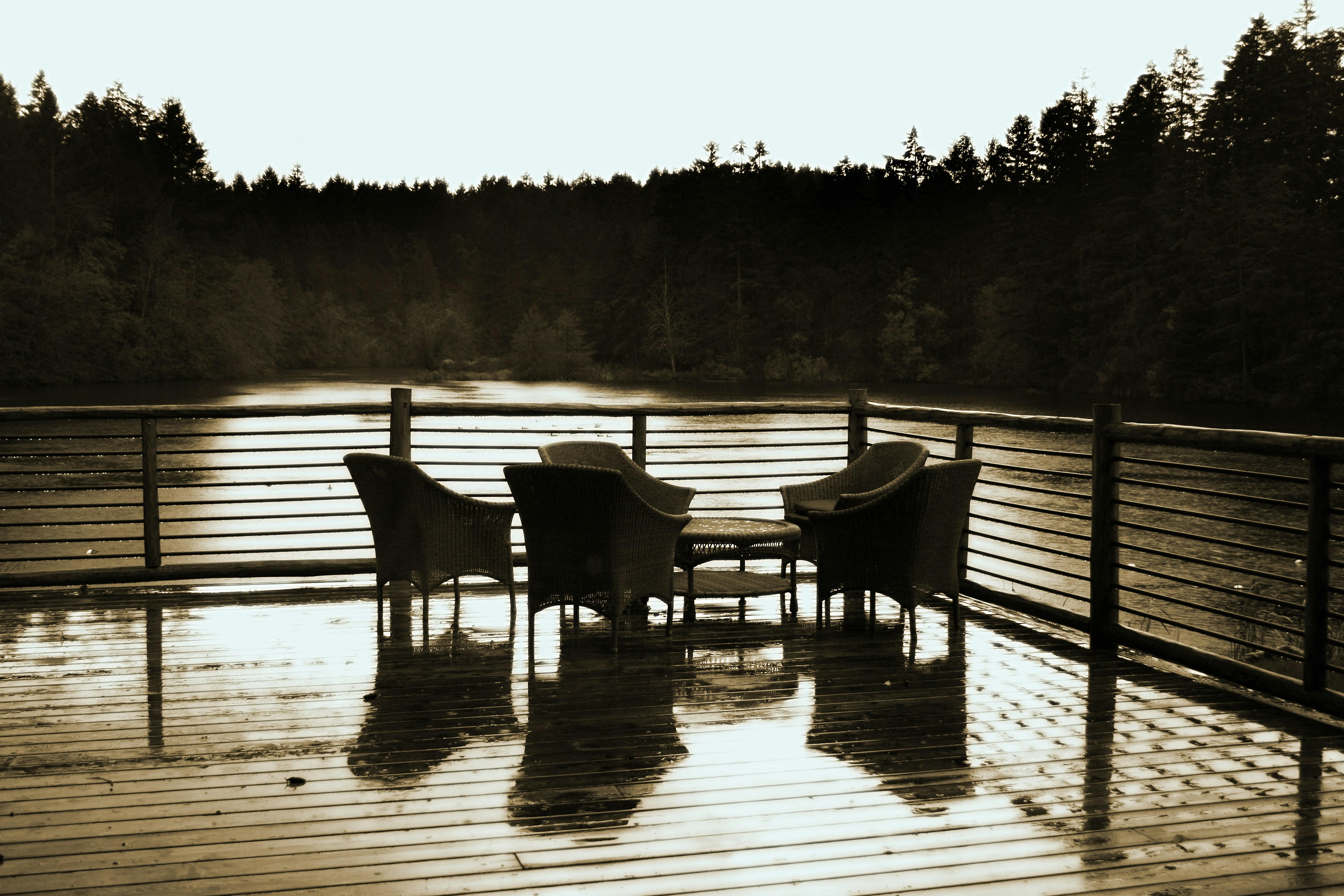 empty chairs on a wet lakeside deck at dawn