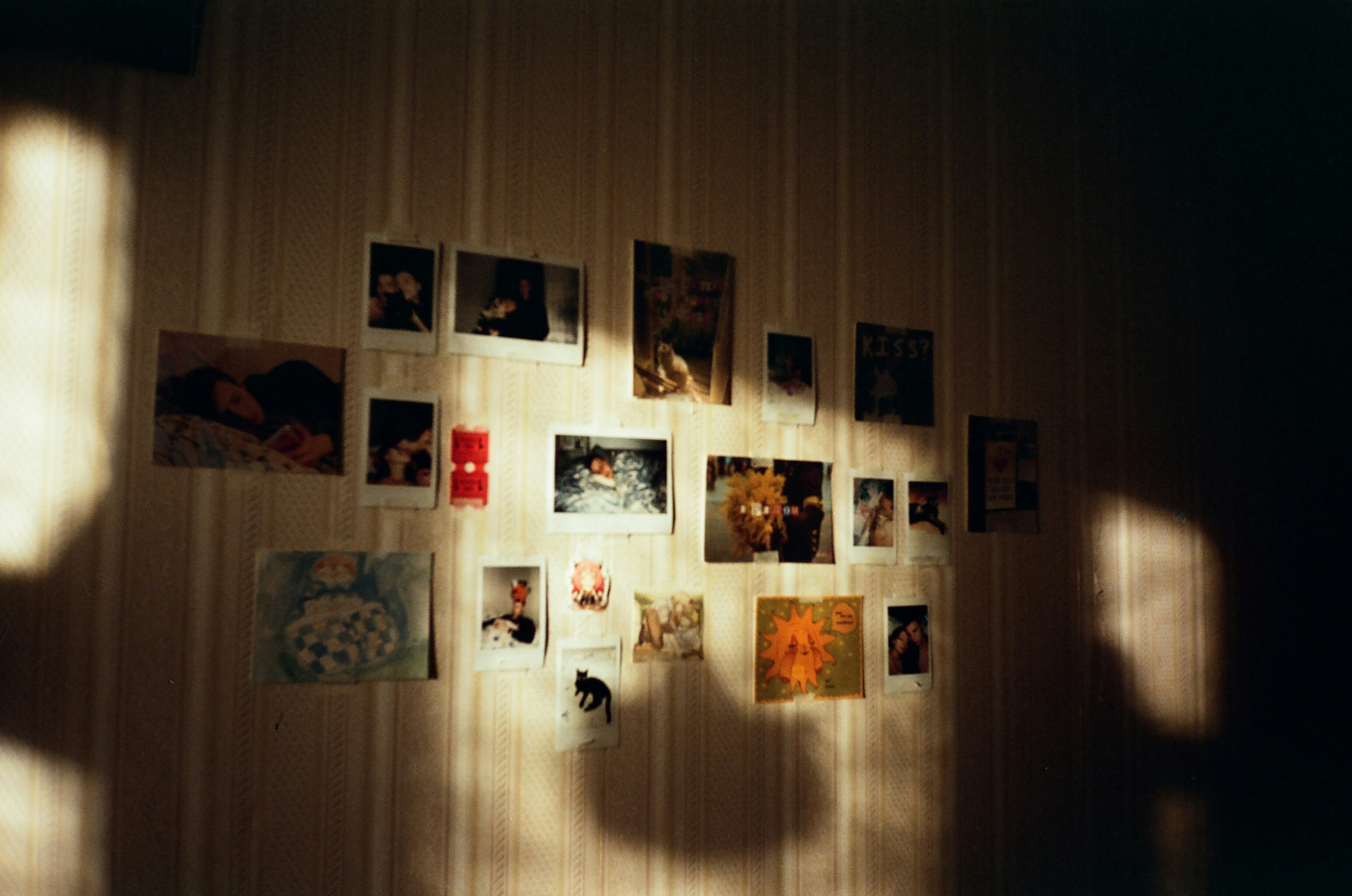 instant photographs pinned across a wall in warm evening light